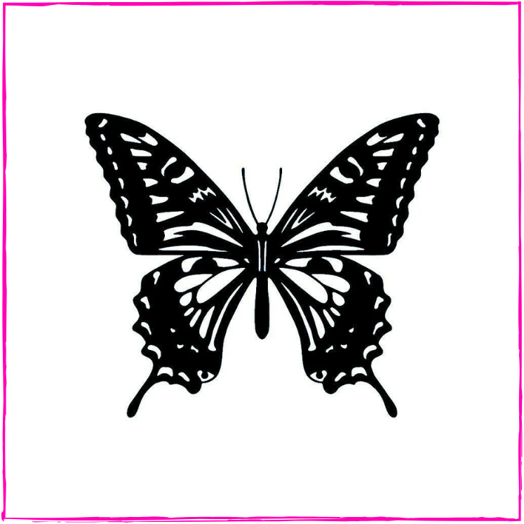 Monarch butterfly