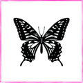 Monarch butterfly