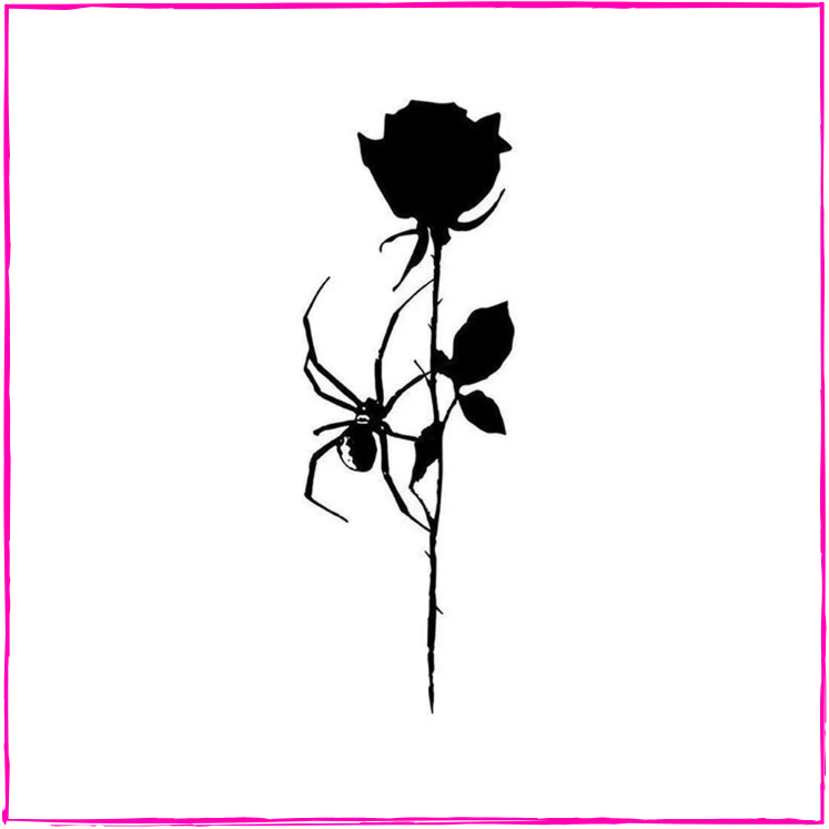 Black Rose & Spider