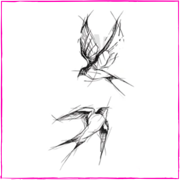 Sketch Swallows