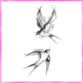 Sketch Swallows