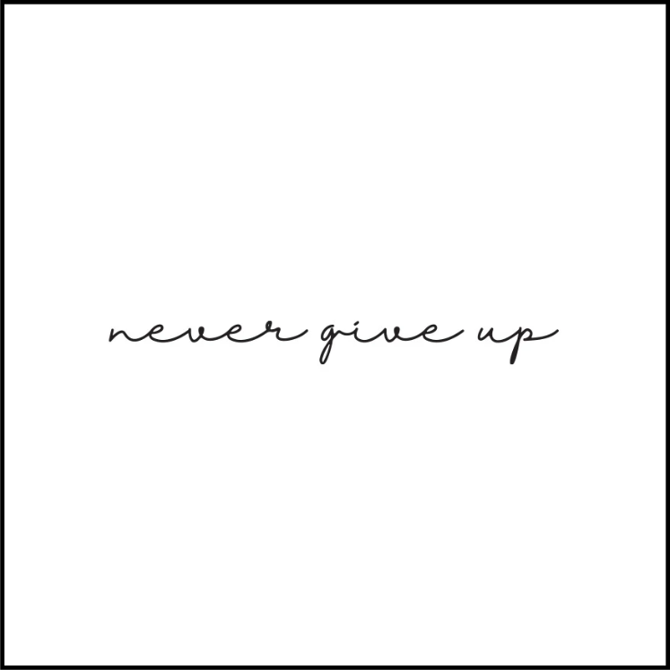 Never Give  Up