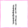 Thorns