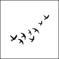 Freedom