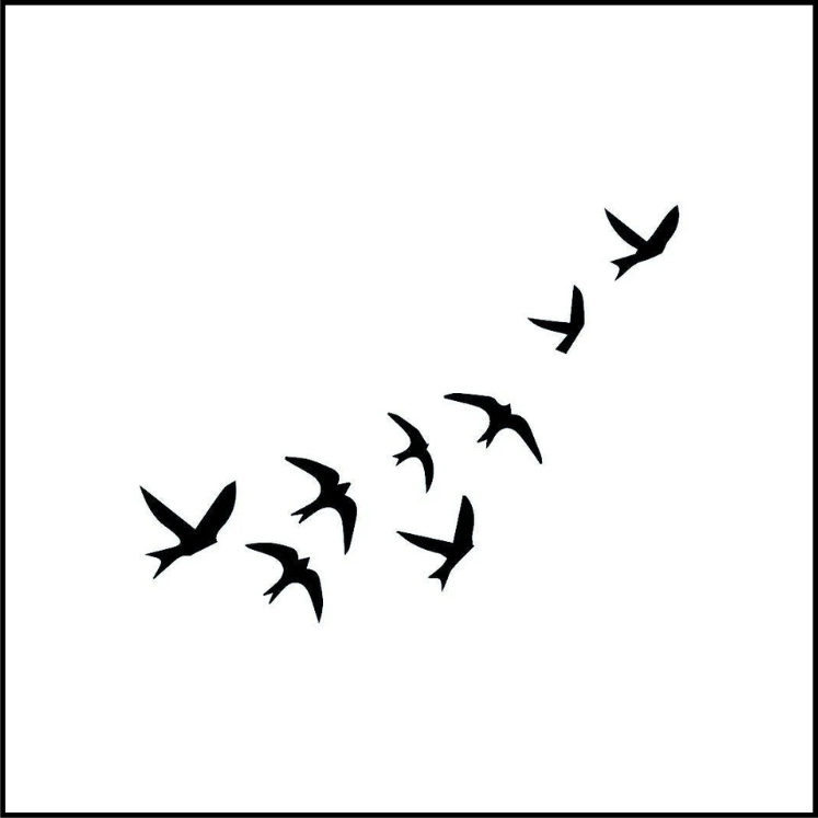 Freedom