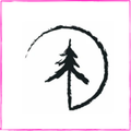 Pine Tree