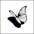 Dissolve & Fly