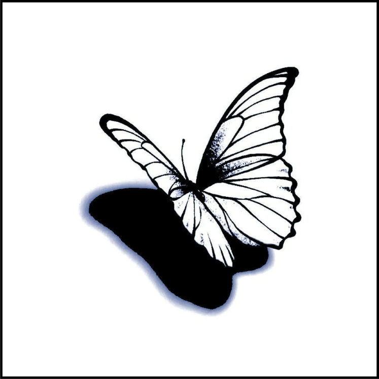 Dissolve & Fly