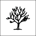 Roots