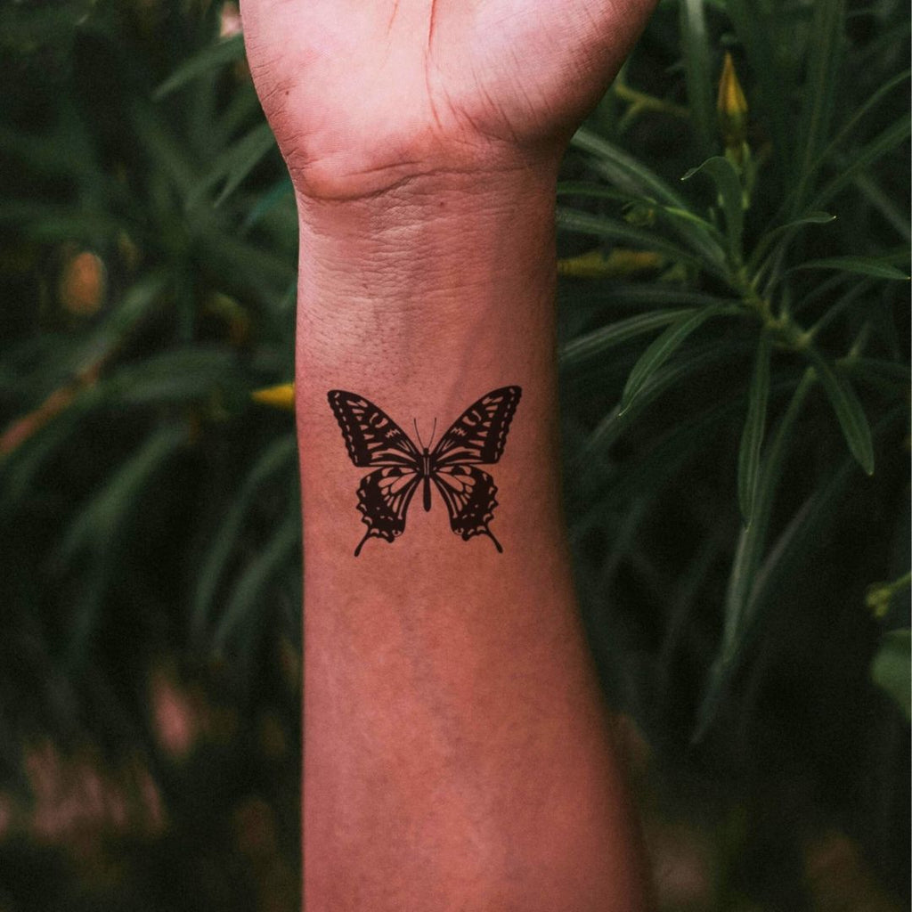 Monarch butterfly