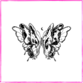 Phantom Butterfly
